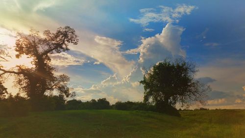 Scenic view of grassy field against cloudy sky