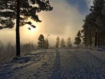 Snow covered landscape against sky during sunset