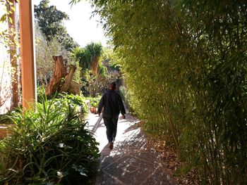 Rear view of people walking on plants