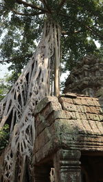 Low angle view of a temple