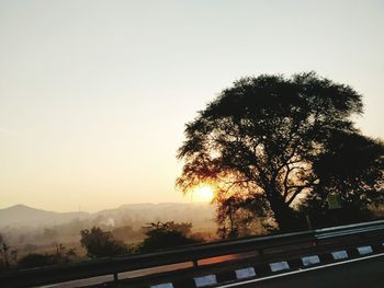 Trees against clear sky during sunset