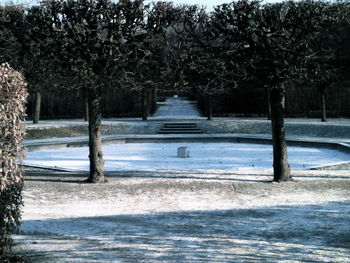 View of road along trees