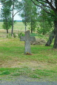 Trees on field