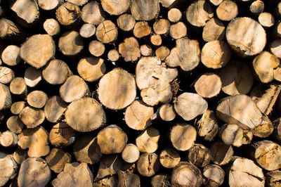 Full frame shot of logs