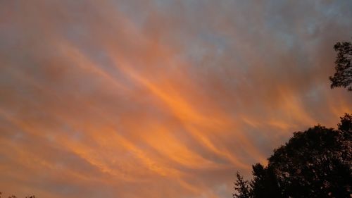 Low angle view of tree against dramatic sky