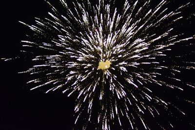 Low angle view of firework display at night