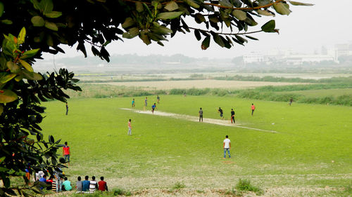 People playing soccer on grassy field