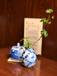 Close-up of potted plant on table