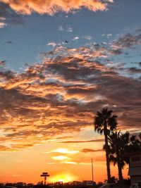 Low angle view of silhouette trees against sky during sunset