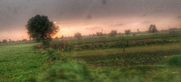 Scenic view of field against sky at sunset