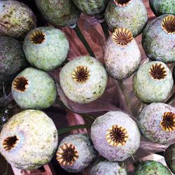 High angle view of vegetables