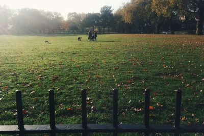 People walking on grassy field in park