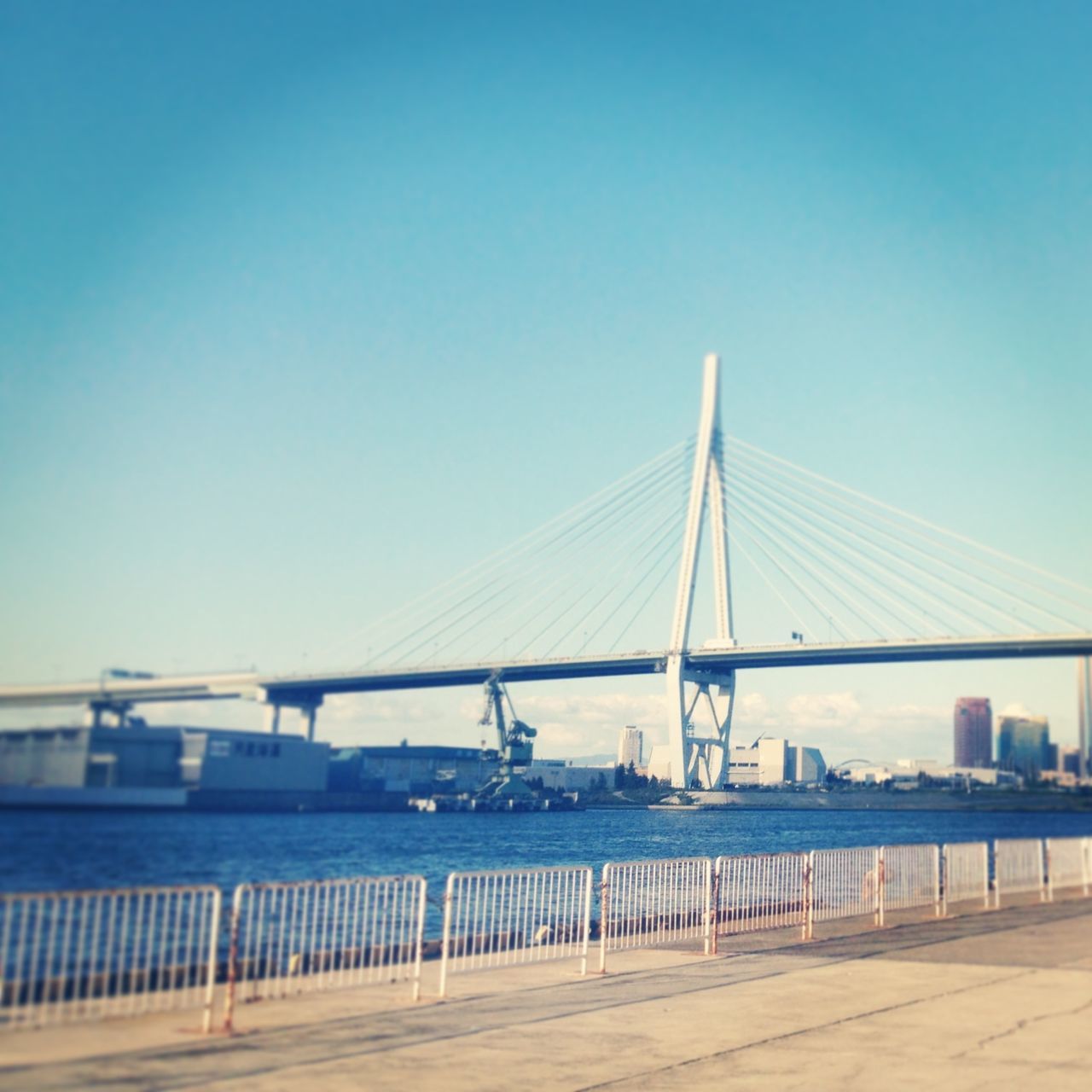 clear sky, connection, bridge - man made structure, built structure, architecture, suspension bridge, water, engineering, copy space, bridge, transportation, sea, river, travel destinations, blue, cable-stayed bridge, travel, city, outdoors, tourism