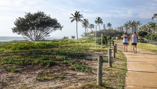 People walking on palm trees against sky