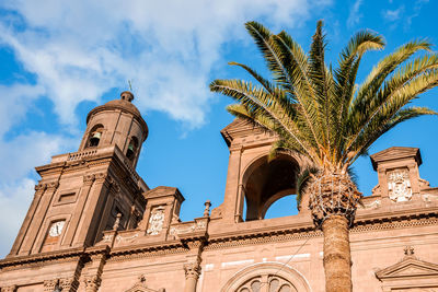 Low angle view of palm trees against sky