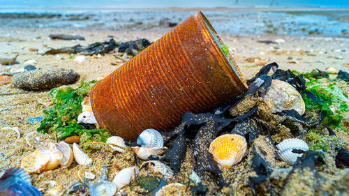 Close up of rusted can weathered on beach sand pollution litter rubbish in the ocean