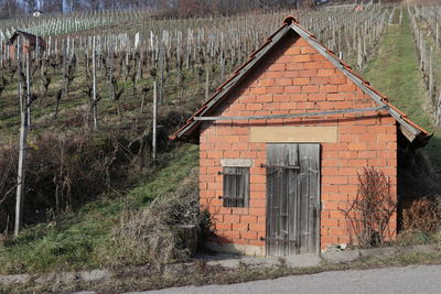 Exterior of house in forest