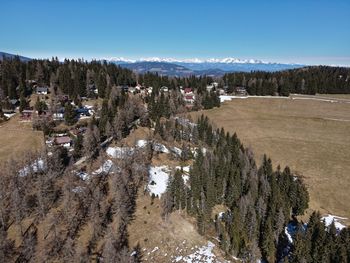 High angle view of trees on landscape against sky