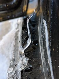 Close-up of icicles on metal during winter