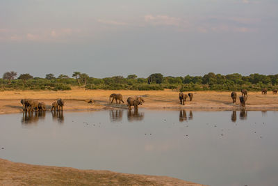 Group of people in the lake