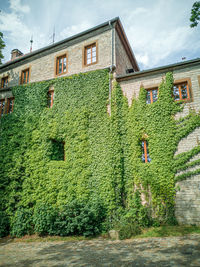 Woman outside house against sky