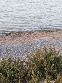 High angle view of sea shore