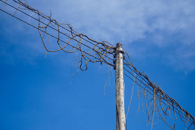 Low angle view of cables against blue sky