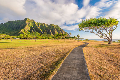 Scenic view of road by land against sky