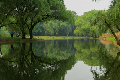 Scenic view of lake by trees against sky