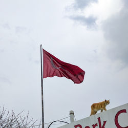 Red flag against sky