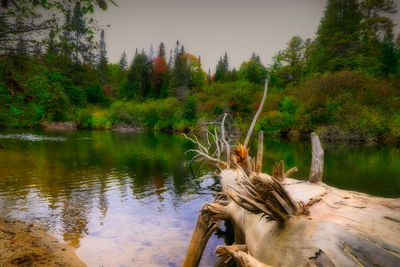 Scenic view of lake