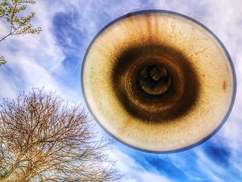 Low angle view of bare trees against sky