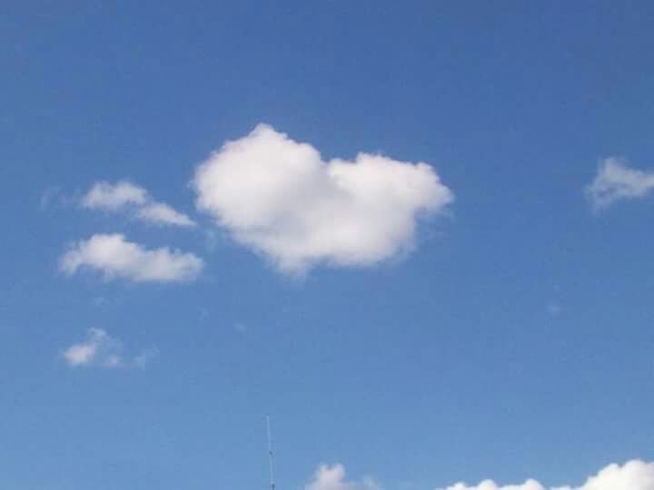 low angle view, blue, sky, cloud - sky, beauty in nature, cloud, nature, tranquility, scenics, white color, sky only, tranquil scene, day, cloudy, cloudscape, outdoors, copy space, no people, white, idyllic