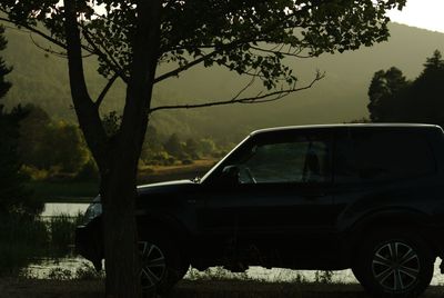 Side view of car on road against trees