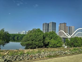 Plants by lake against buildings in city against sky
