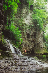 Scenic view of waterfall in forest