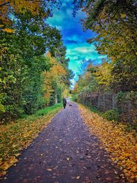 Road amidst trees against sky during autumn