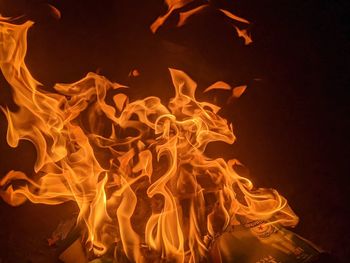 Close-up of fire crackers against black background