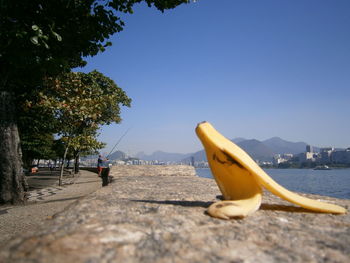 Man on yellow by sea against clear sky