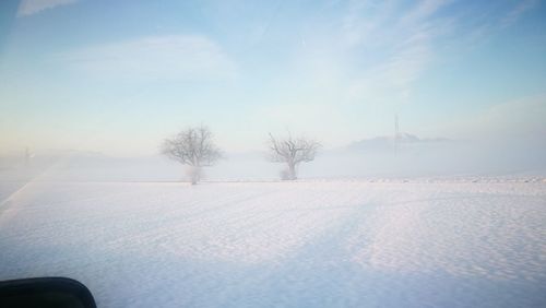 Trees on snow covered landscape against sky