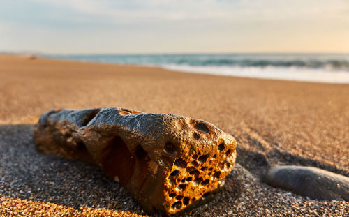 Close-up of a stone on beach