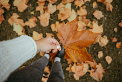 Big leaf in hand in autumn