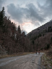 Road by trees on mountain against sky