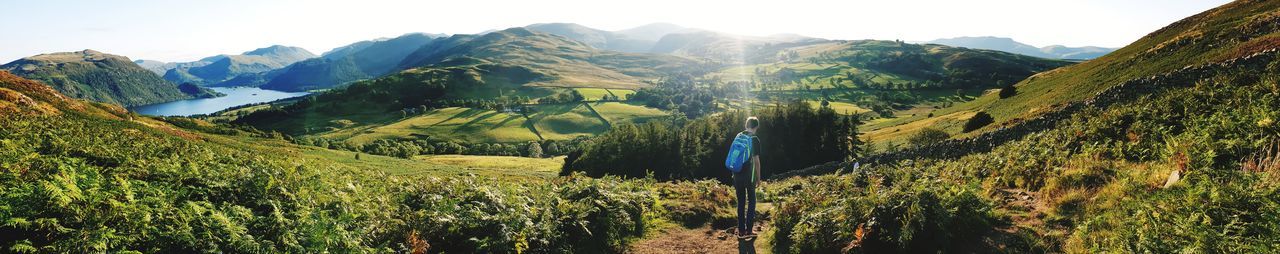 Panoramic view of trees and mountains against sky