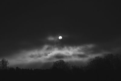 Low angle view of silhouette trees against sky at night