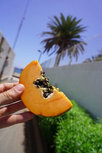 Cropped image of person holding orange