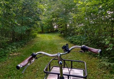 Bicycle on grassland