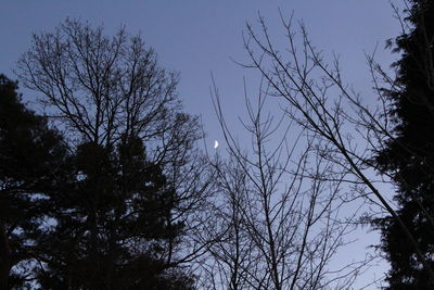 Low angle view of silhouette trees against sky