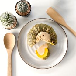 Directly above shot of breakfast on table against white background