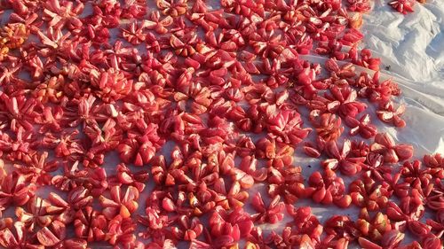 High angle view of fruits for sale in market